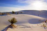 White Sands_32378